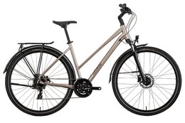 Raymon Zayn Comp - 28 Zoll - Trapez - 2027