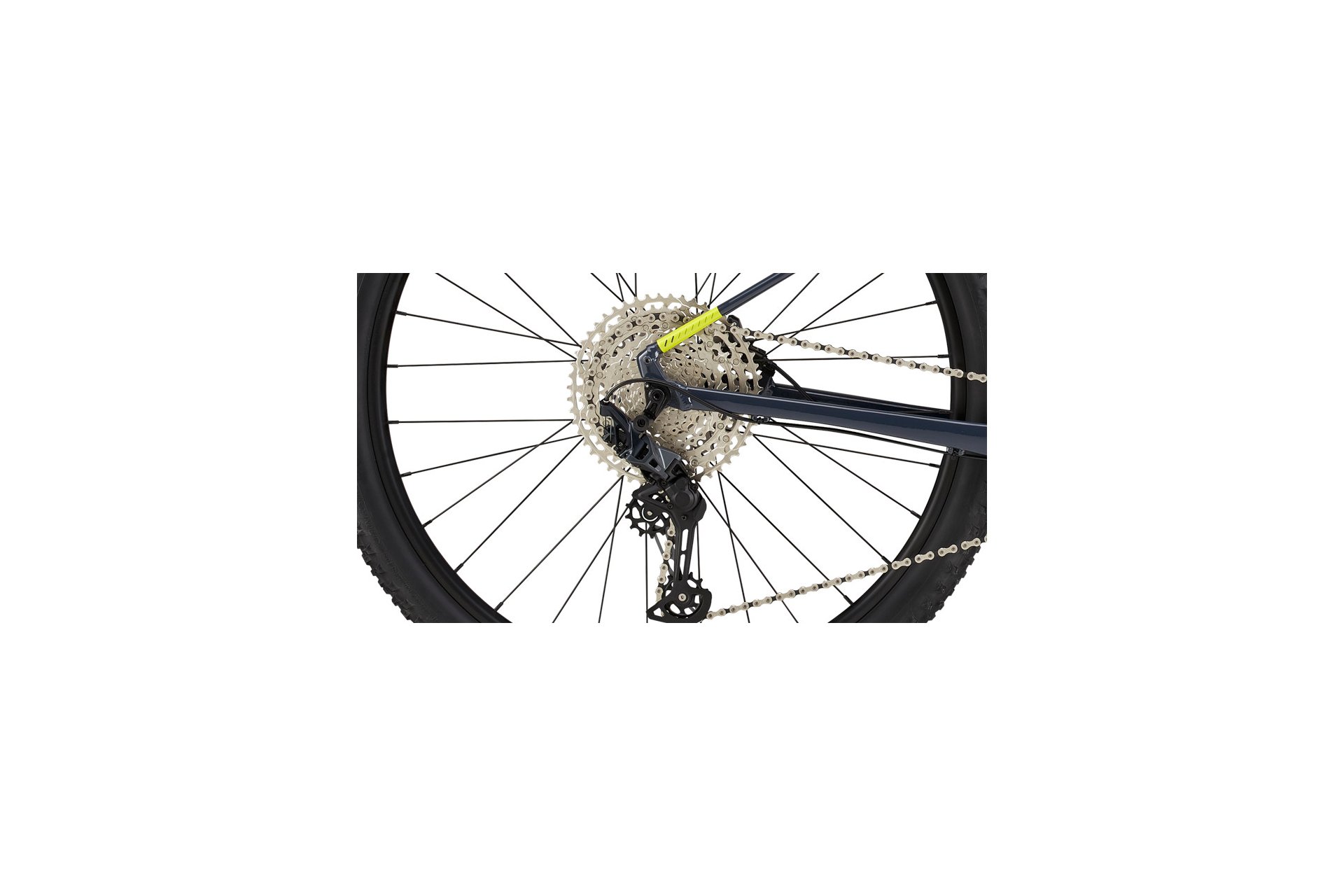 Cannondale Trail SL 2 - 29 Zoll - Diamant - 2024
