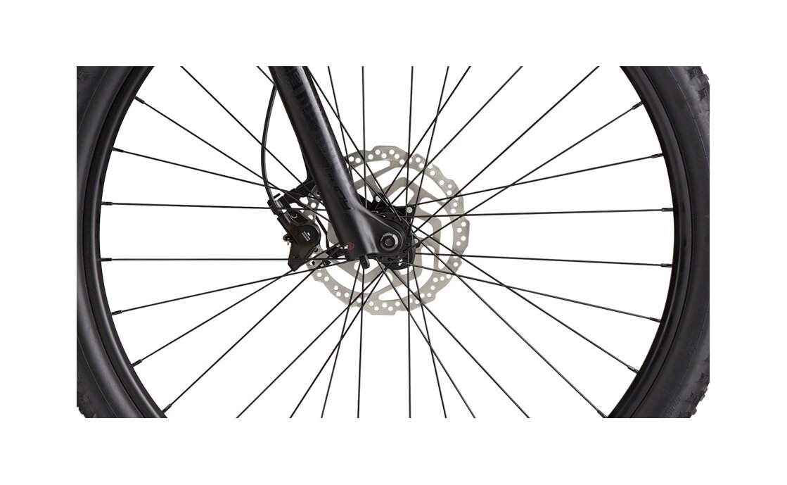 Cannondale Trail SL 2 - 29 Zoll - Diamant - 2024