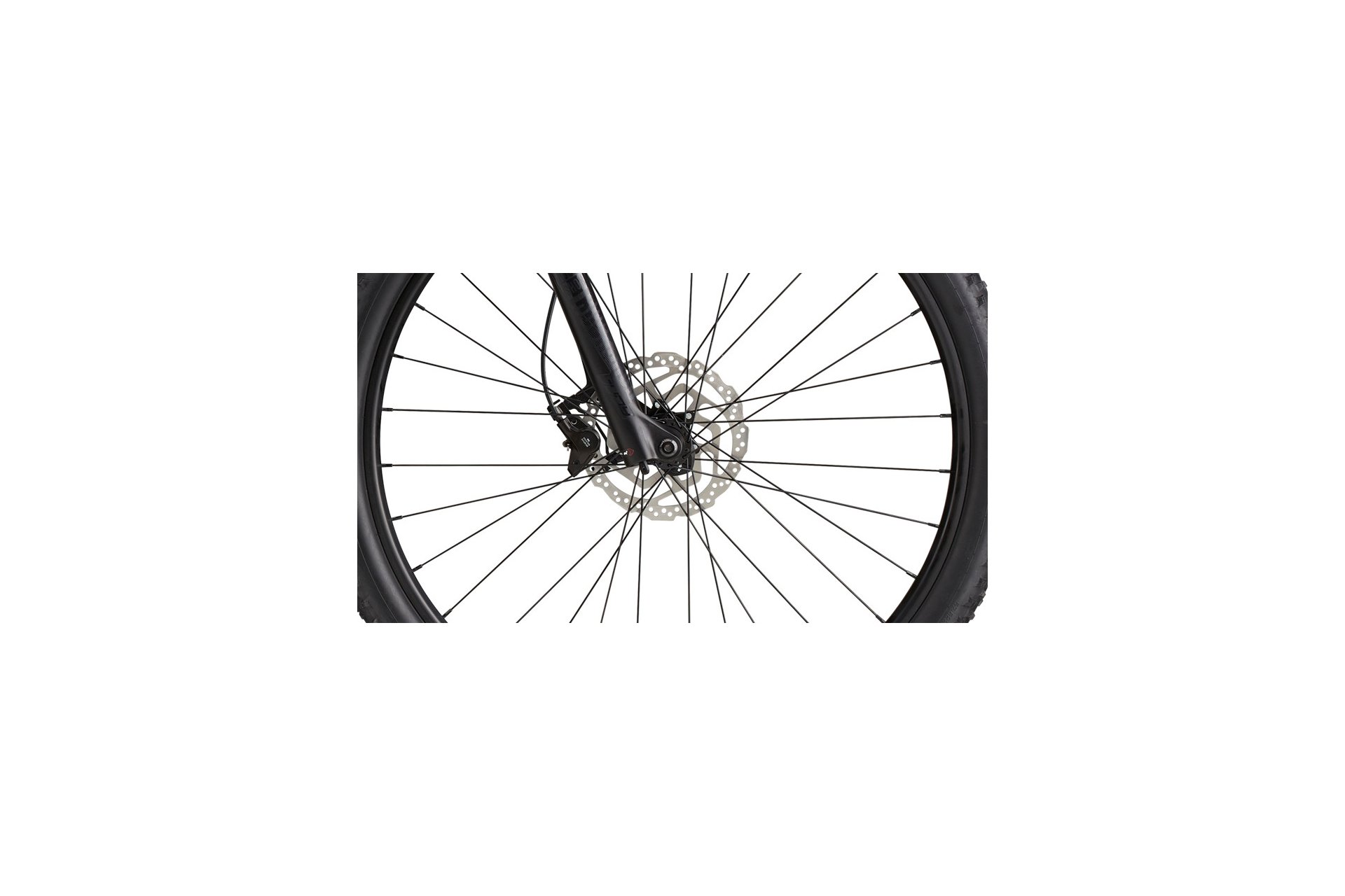 Cannondale Trail SL 2 - 29 Zoll - Diamant - 2024
