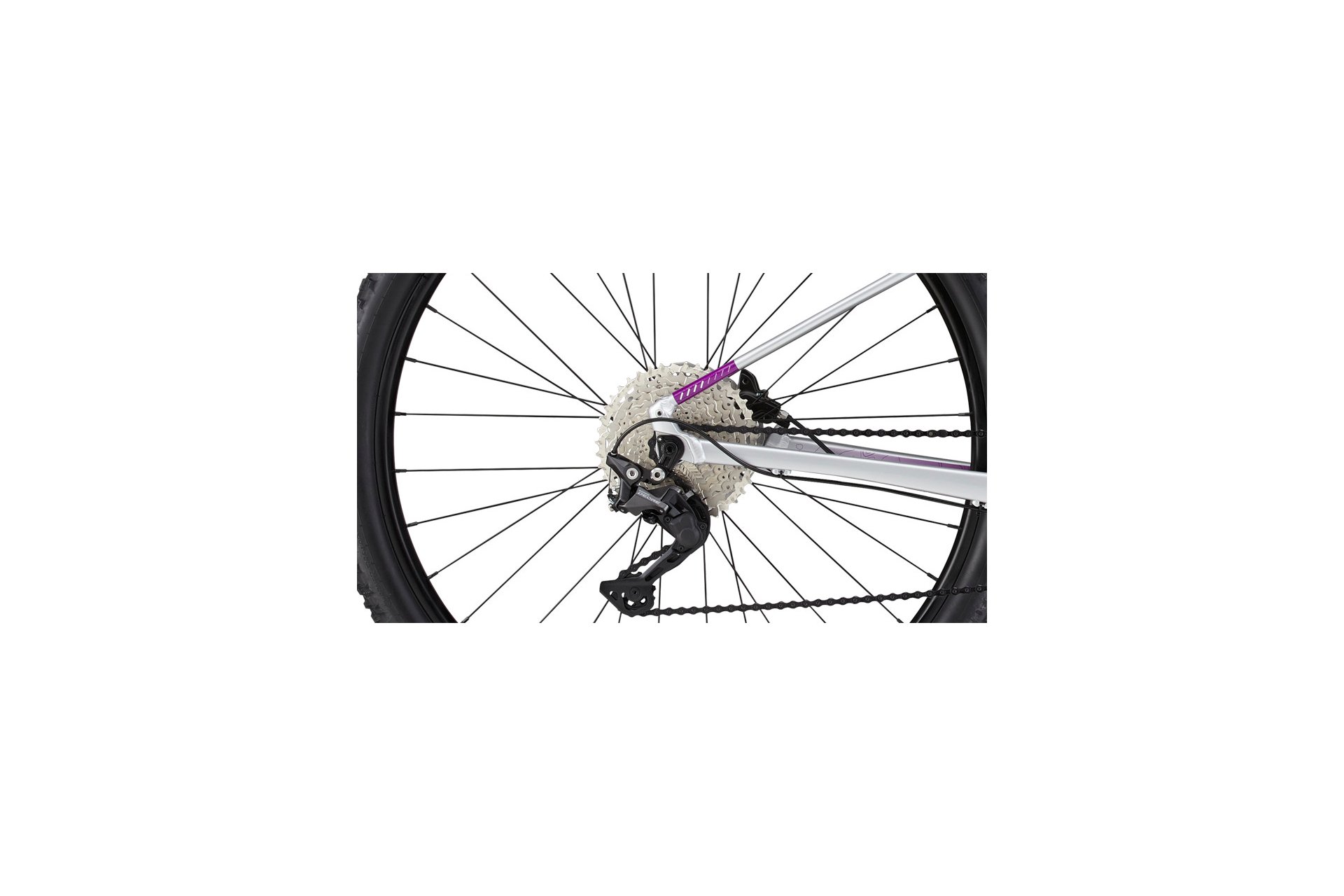 Cannondale Trail Women's SL 4 - 29 Zoll - Diamant - Aktion