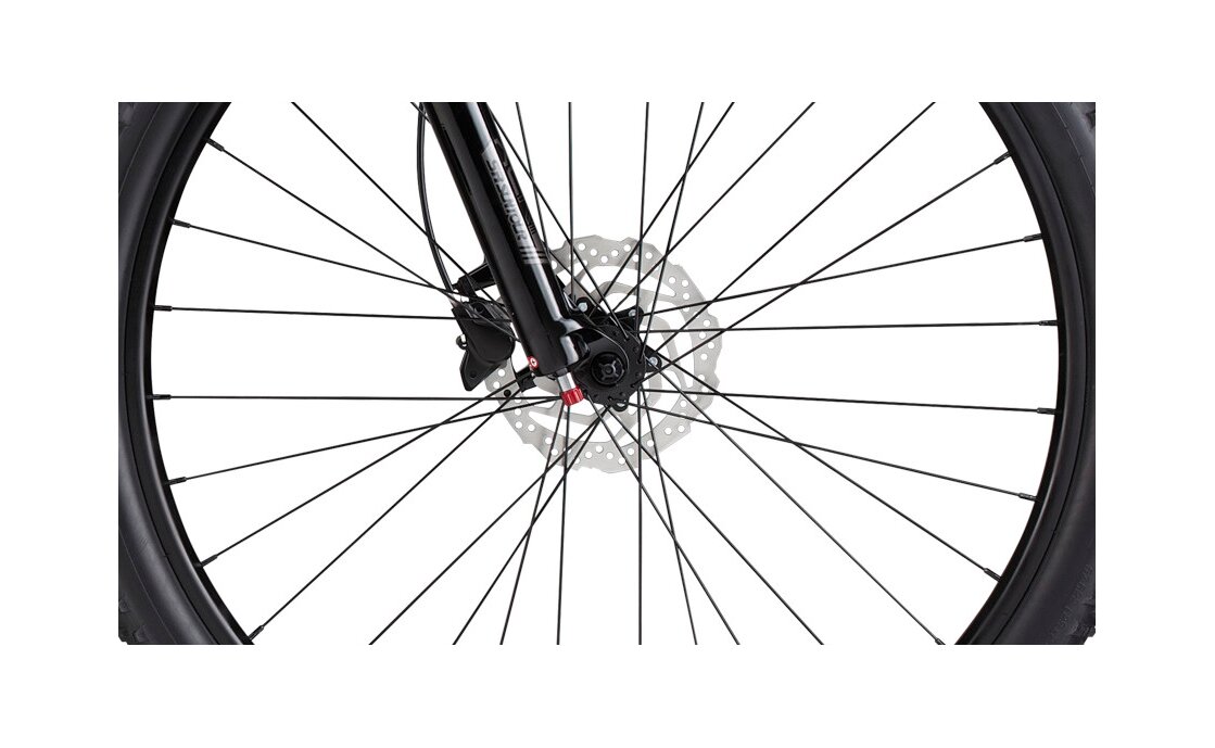 Cannondale Trail Women's SL 4 - 29 Zoll - Diamant - Aktion