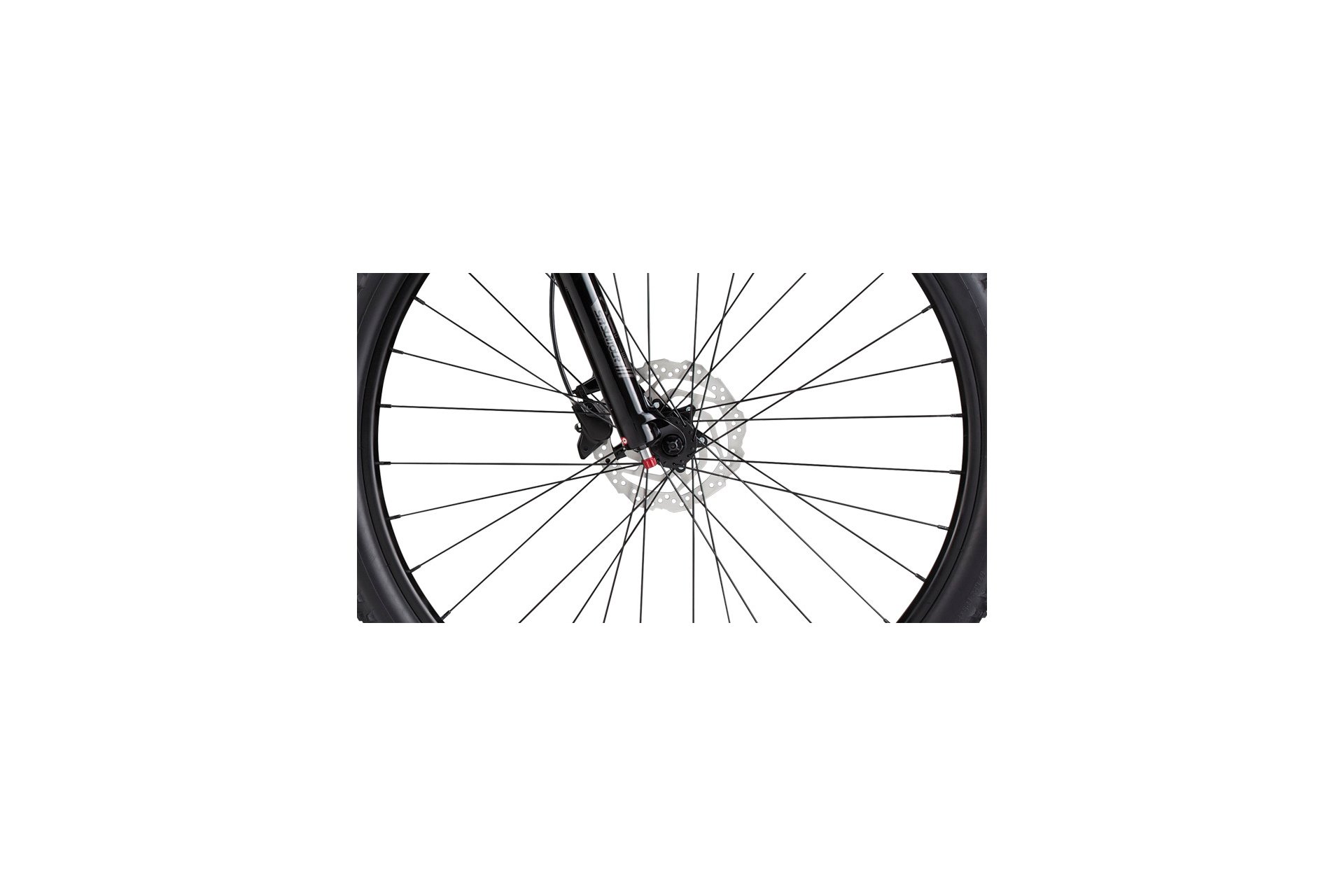 Cannondale Trail Women's SL 4 - 29 Zoll - Diamant - Aktion