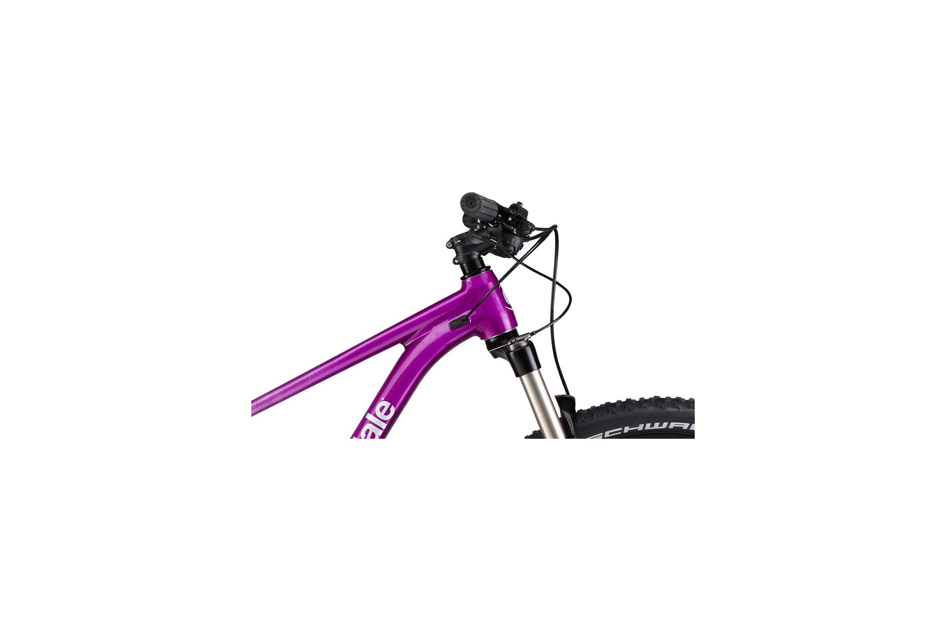 Cannondale Trail Women's SL 4 - 29 Zoll - Diamant - Aktion