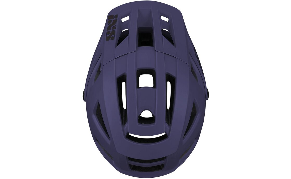 IXS Trigger AM