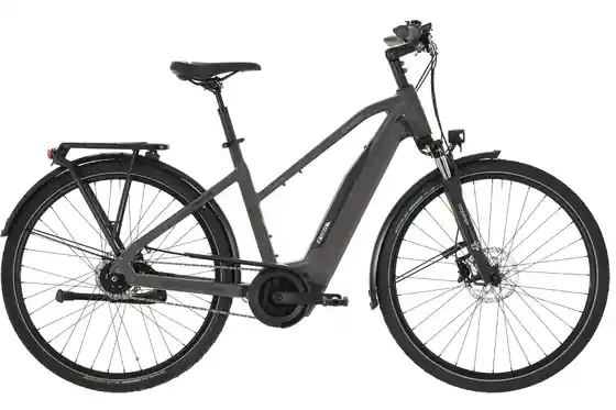 Mit Federung - E-Bike-Pedelec - Carver Tour E.420 - 500 Wh - 28 Zoll - Trapez