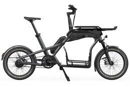 Cago CS150 - Gep&auml;cktr&auml;ger/Schloss - 725 Wh - 20 Zoll - Long John