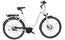 Carver Cityzen E.310 RT - 400 Wh - 28 Zoll - Tiefeinsteiger - Aktion