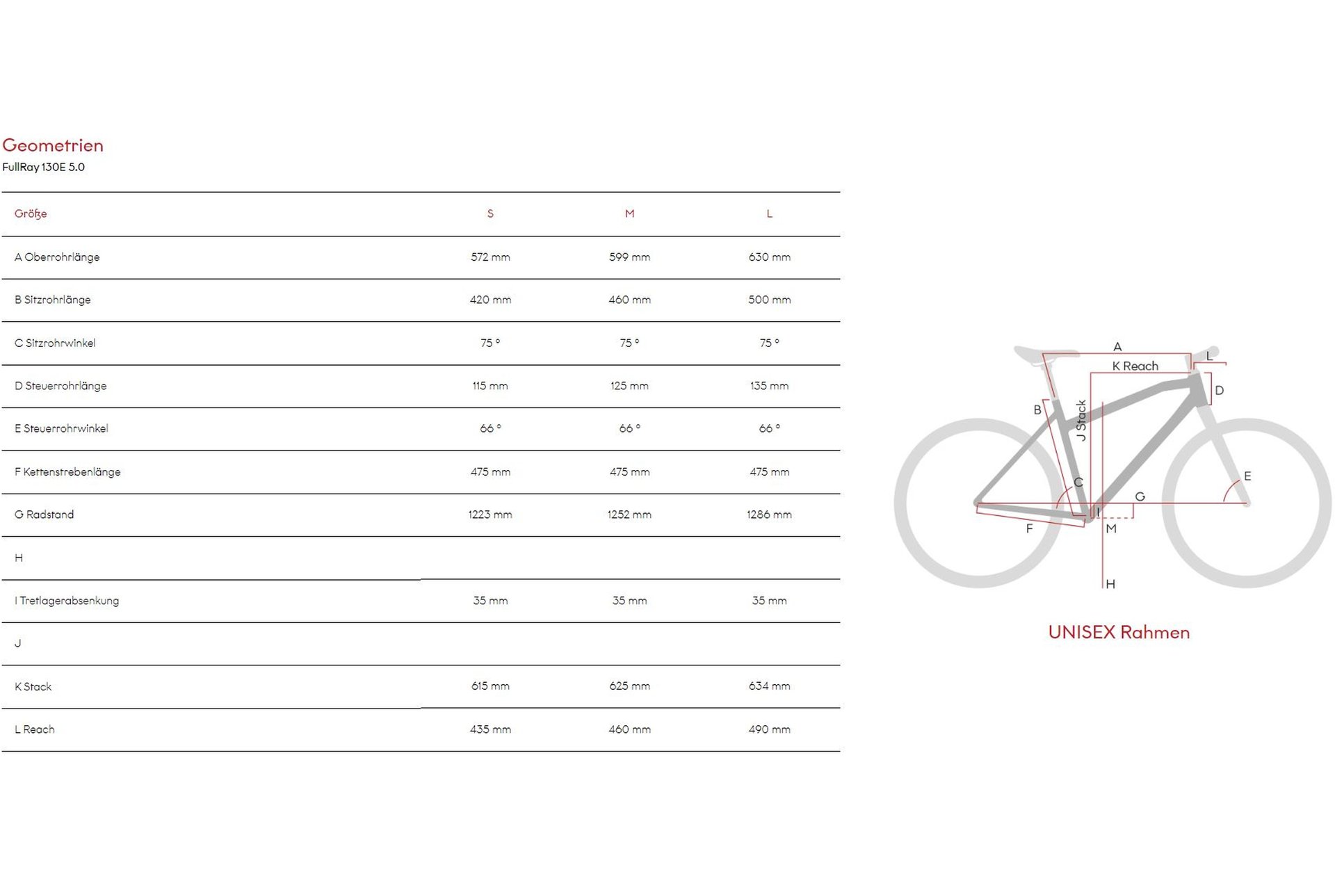 Raymon FullRay 130E 5.0 - 500 Wh - 29 Zoll - Fully