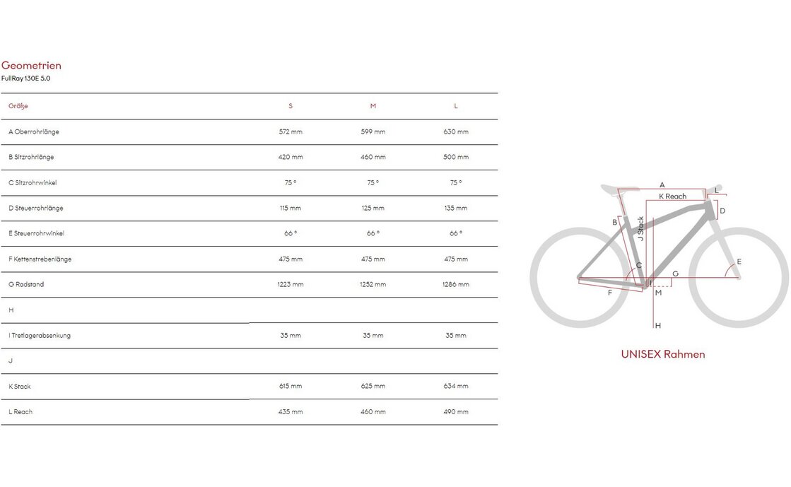 Raymon FullRay 130E 5.0 - 500 Wh - 29 Zoll - Fully