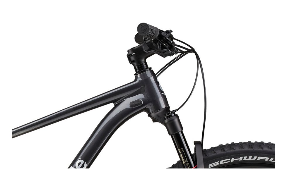 cannondale trail xxl