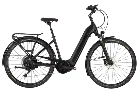 E-Bike Trekking - Hercules Futura Sport I-10 - 625 Wh - 28 Zoll - Tiefeinsteiger
