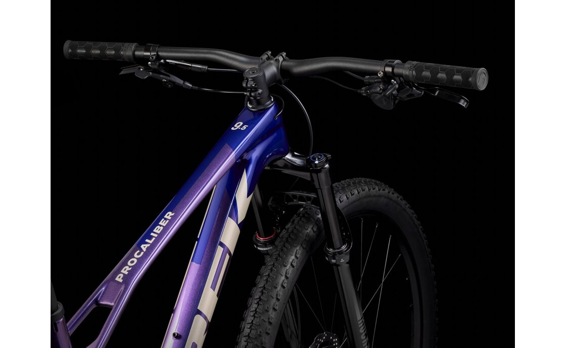 Trek Rail+ 5 Gen 5 - 800 Wh - 29 Zoll - Fully