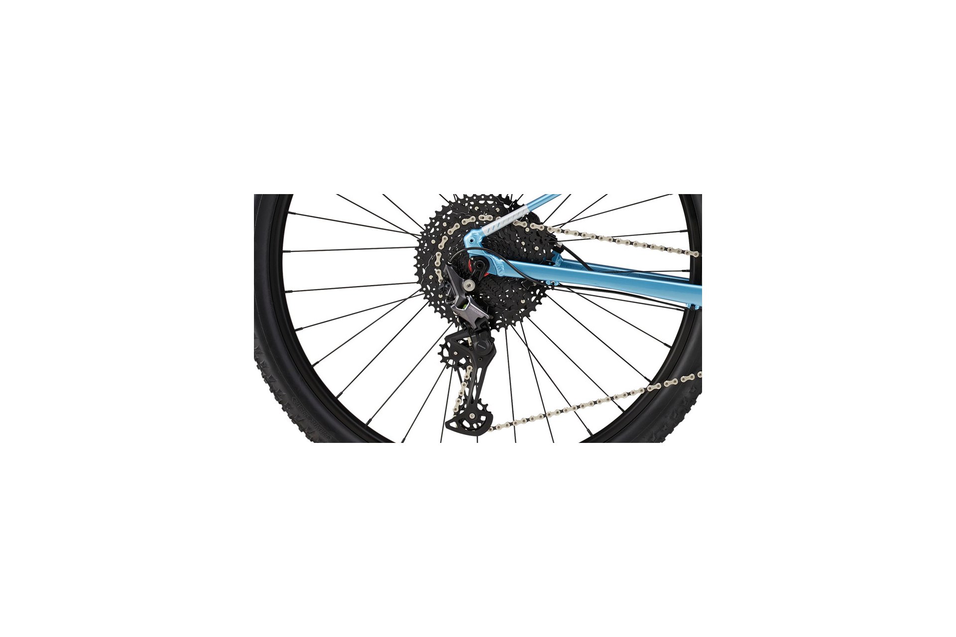 Cannondale Trail SL 3 - 29 Zoll - Diamant - 2024