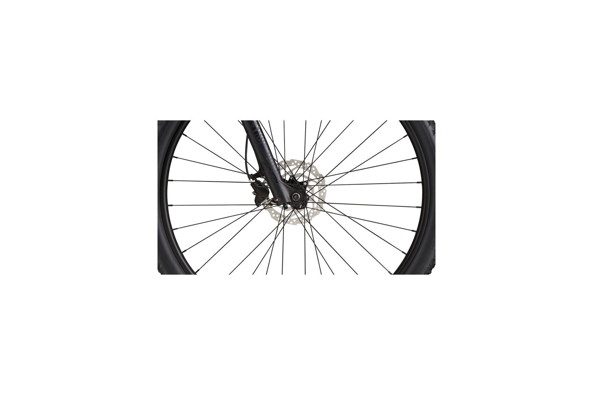 Cannondale Trail SL 3 - 29 Zoll - Diamant - 2024