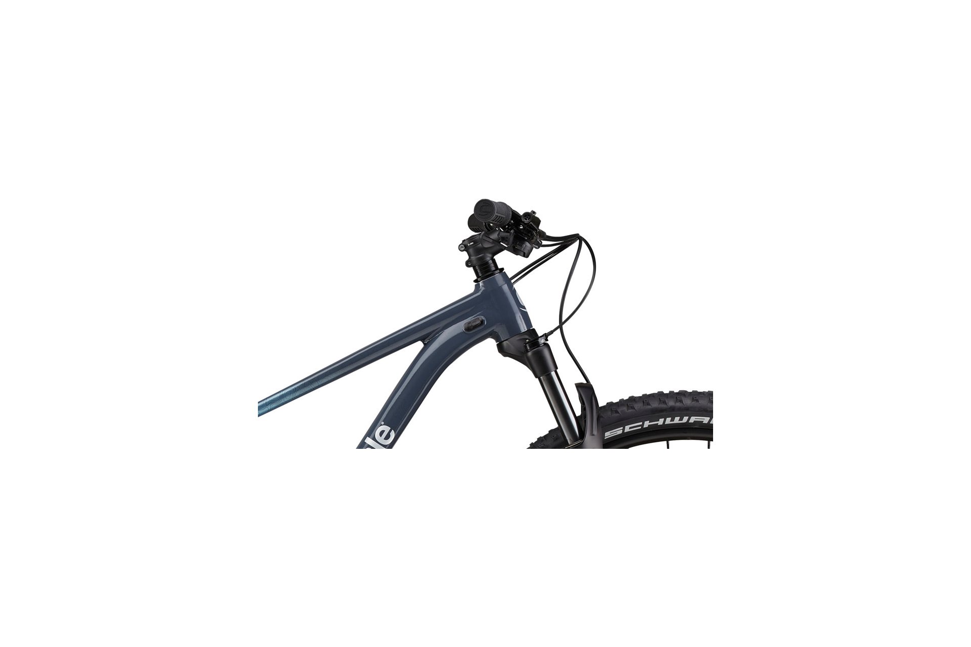 Cannondale Trail SL 3 - 29 Zoll - Diamant - 2024