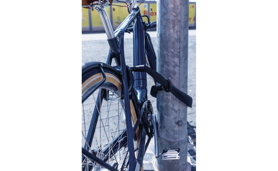 Abus IvyTex Adaptor Chain 6KS/100 Rahmenschlosskette