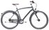 grey blueblack