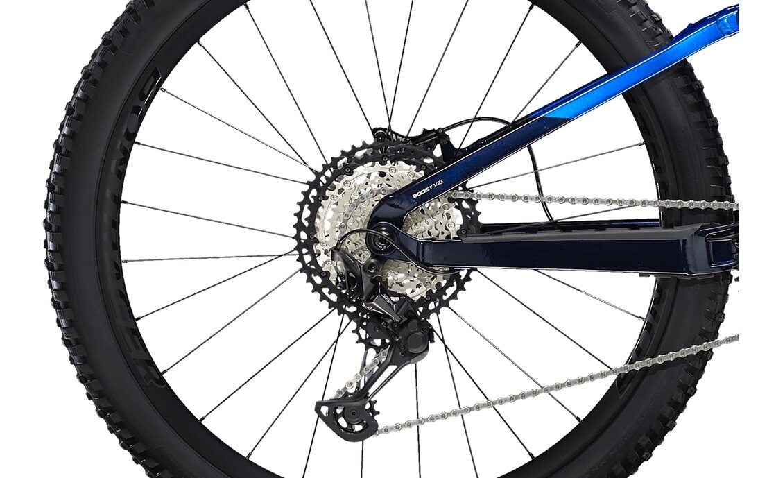 Trek Fuel EX 8 XT - 29 Zoll - Fully - Aktion