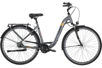 Carver - Citybike - Carver Cityzen 140 LTD RT - 2023 - 28 Zoll - Tiefeinsteiger
