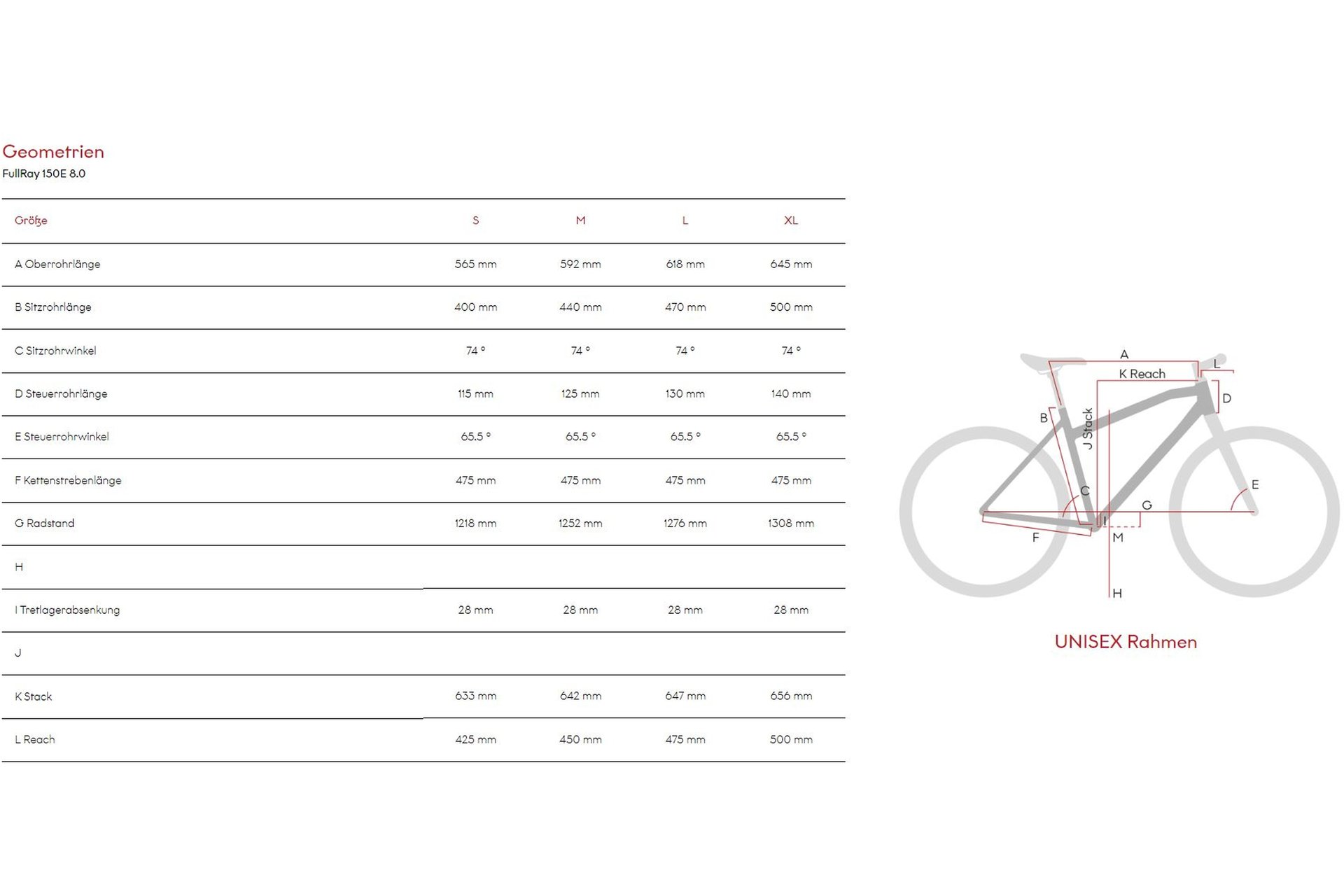 Raymon FullRay 150E 8.0 - 630 Wh - 29 Zoll - Fully