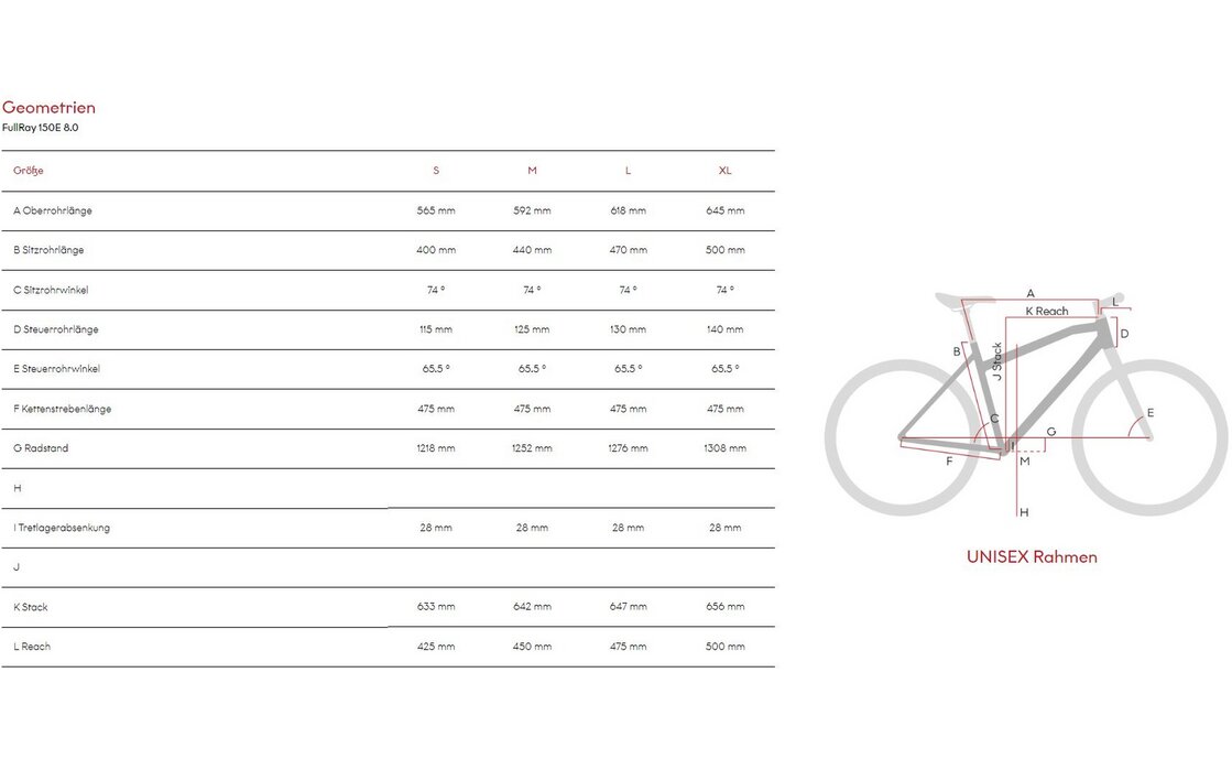 Raymon FullRay 150E 8.0 - 630 Wh - 29 Zoll - Fully