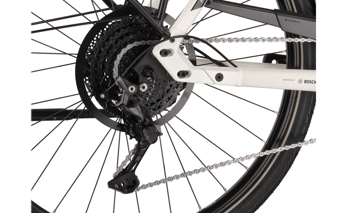 Hercules Futura Sport I-10 - 625 Wh - 28 Zoll - Tiefeinsteiger