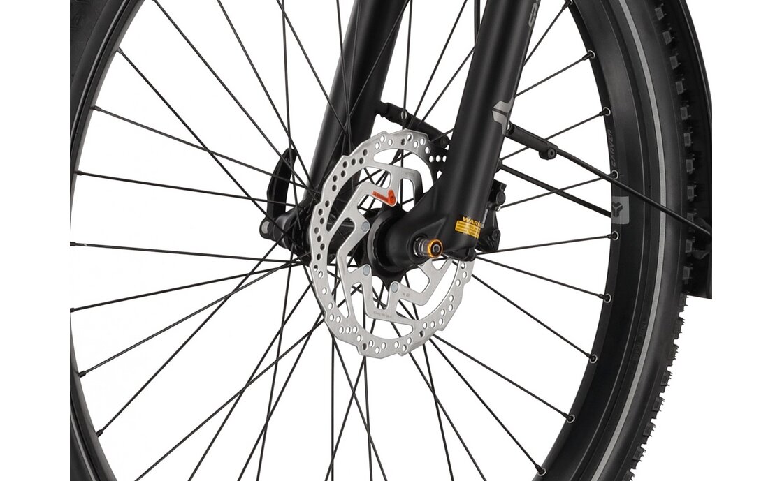 Carver SUV E.530 - B-Ware - 625 Wh - 29 Zoll - Diamant