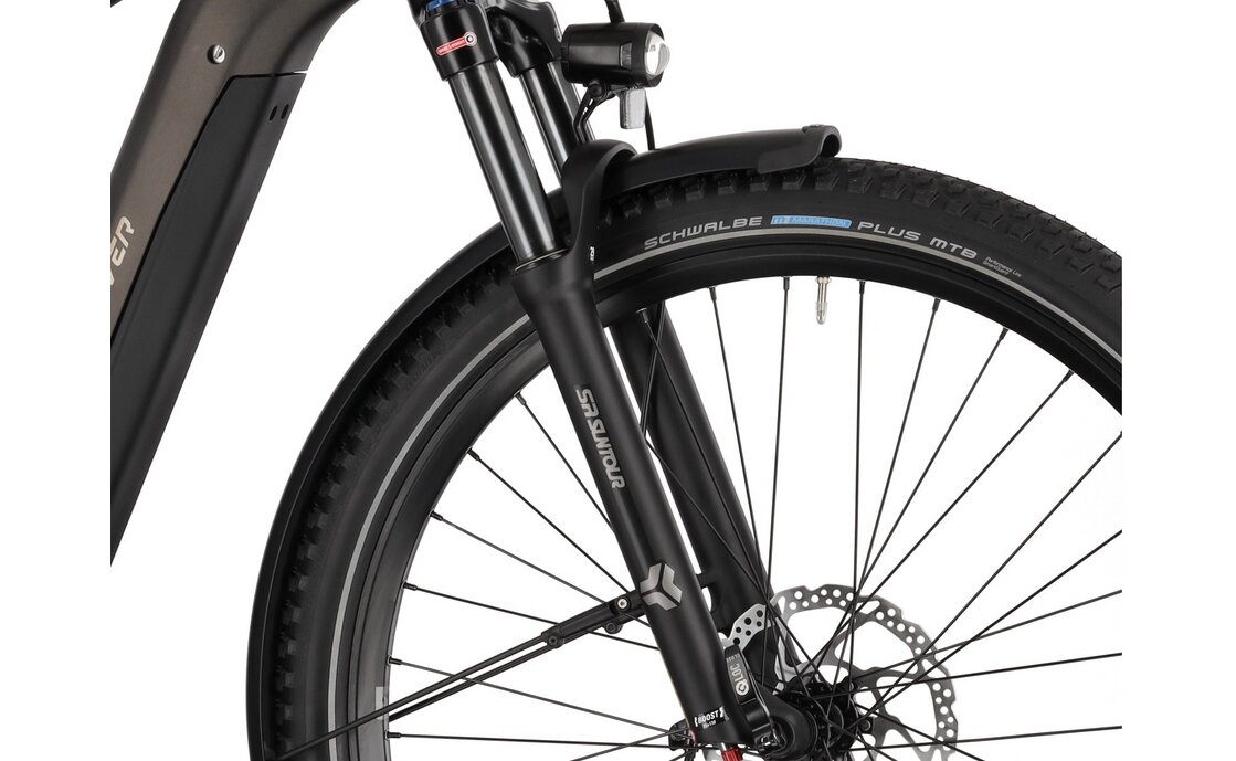 Carver SUV E.550 LR - B-Ware - 750 Wh - 29 Zoll - Diamant