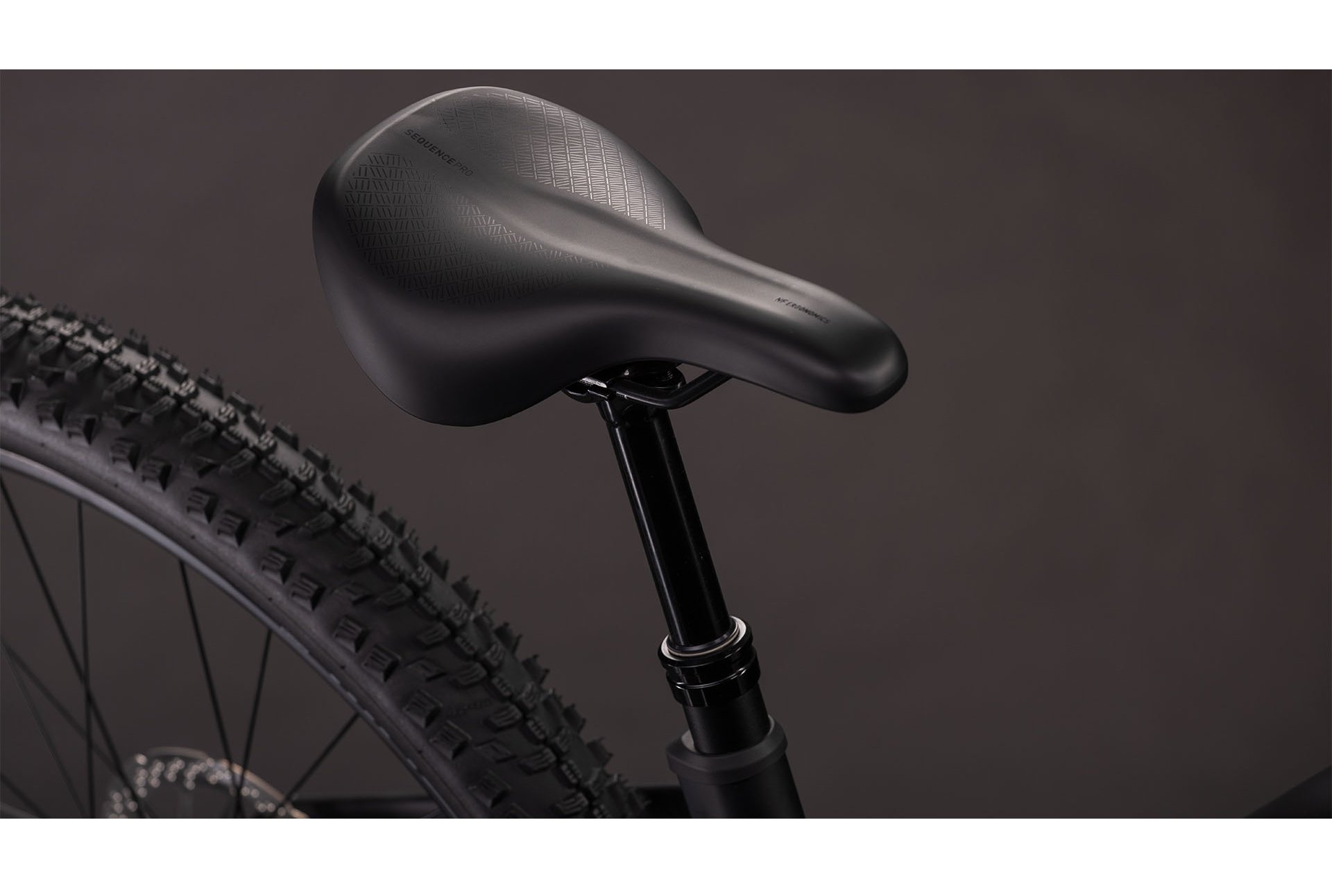 Cube Reaction Hybrid Pro 800 - 800 Wh - 29 Zoll - Damen Sport