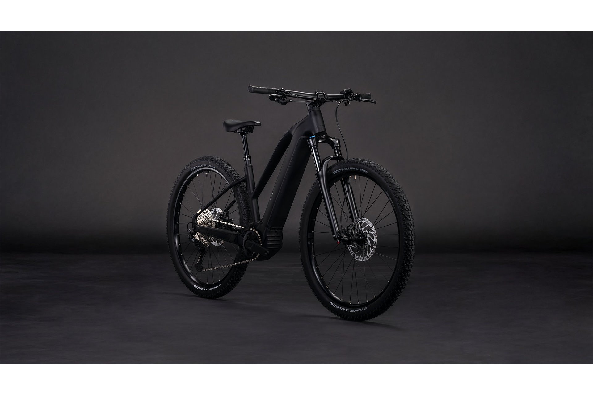 Cube Reaction Hybrid Pro 800 - 800 Wh - 29 Zoll - Damen Sport