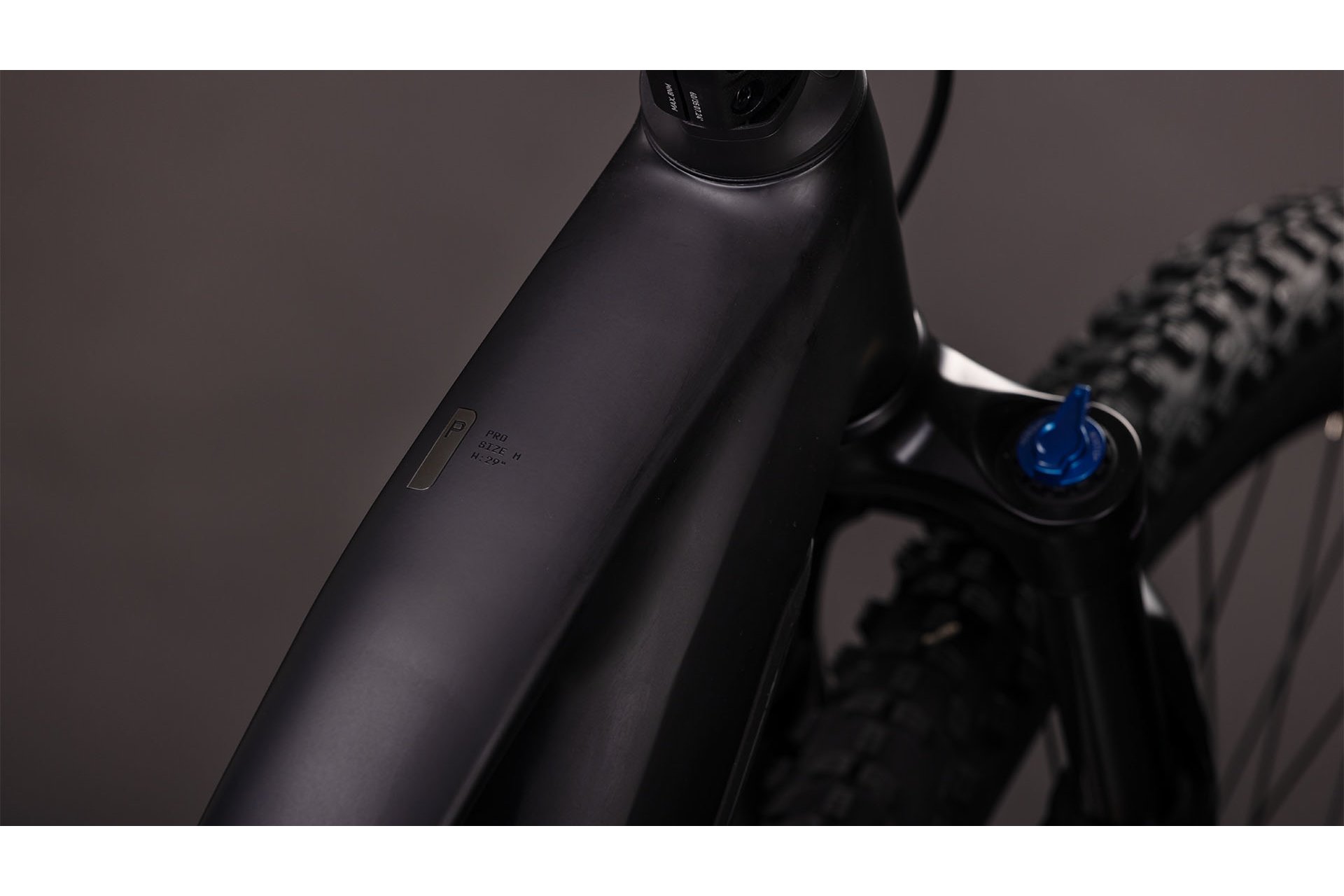 Cube Reaction Hybrid Pro 800 - 800 Wh - 29 Zoll - Damen Sport