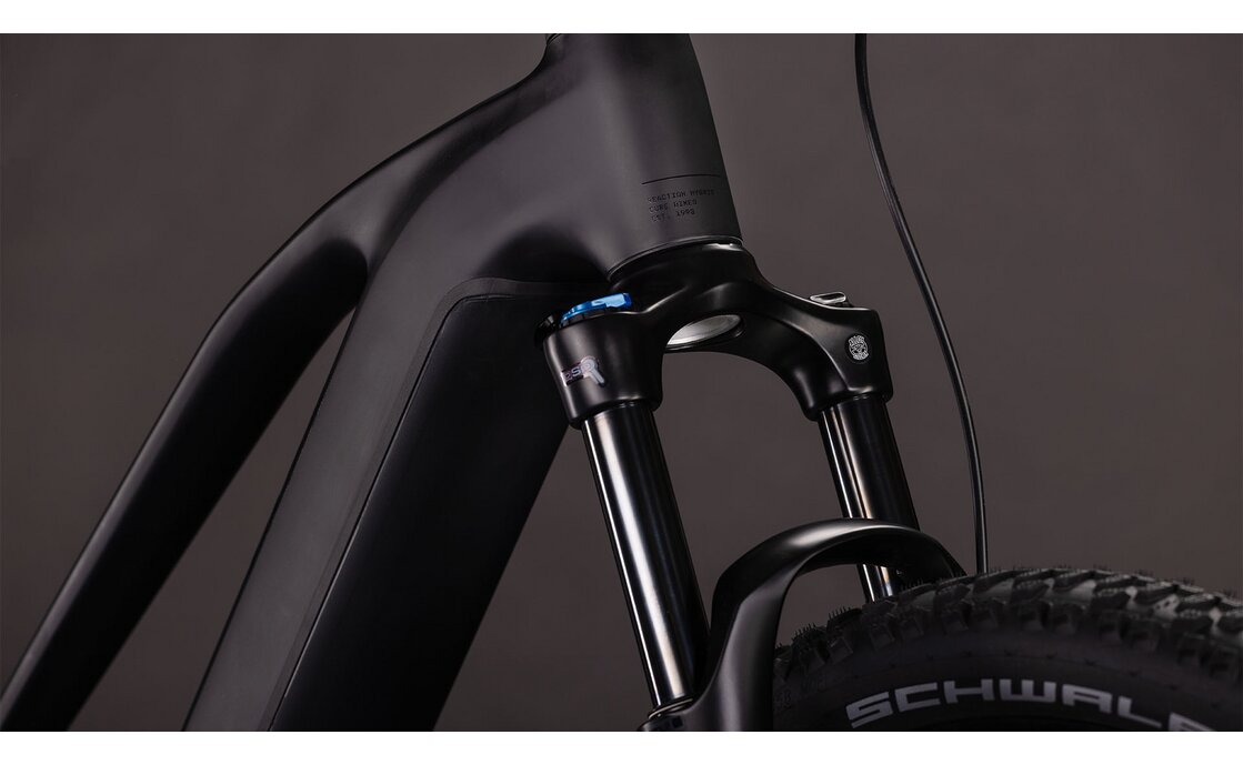 Cube Reaction Hybrid Pro 800 - 800 Wh - 29 Zoll - Damen Sport