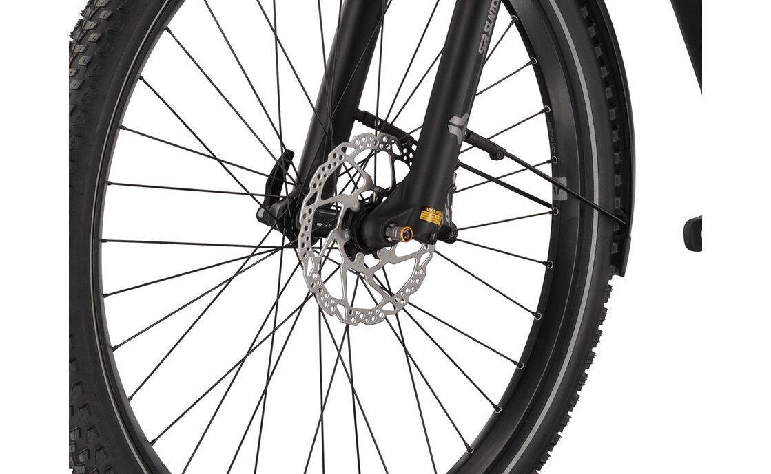 Carver SUV E.550 LR - B-Ware - 750 Wh - 29 Zoll - Diamant