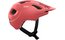 POC Axion