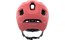 POC Axion