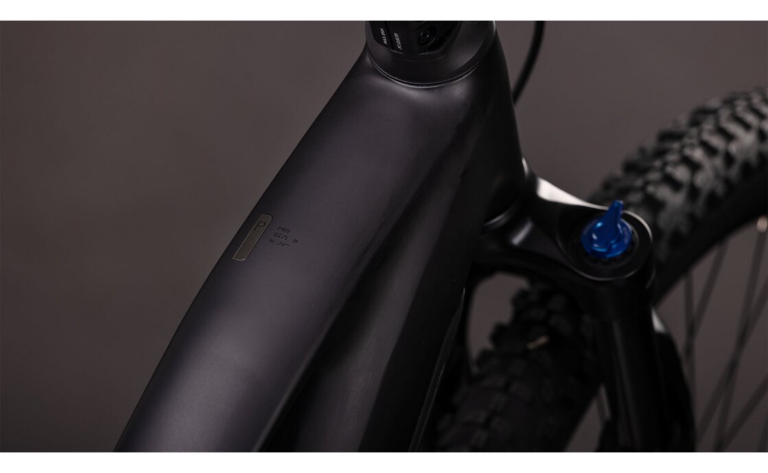 Cube Reaction Hybrid Pro 800 - 800 Wh - 29 Zoll - Damen Sport