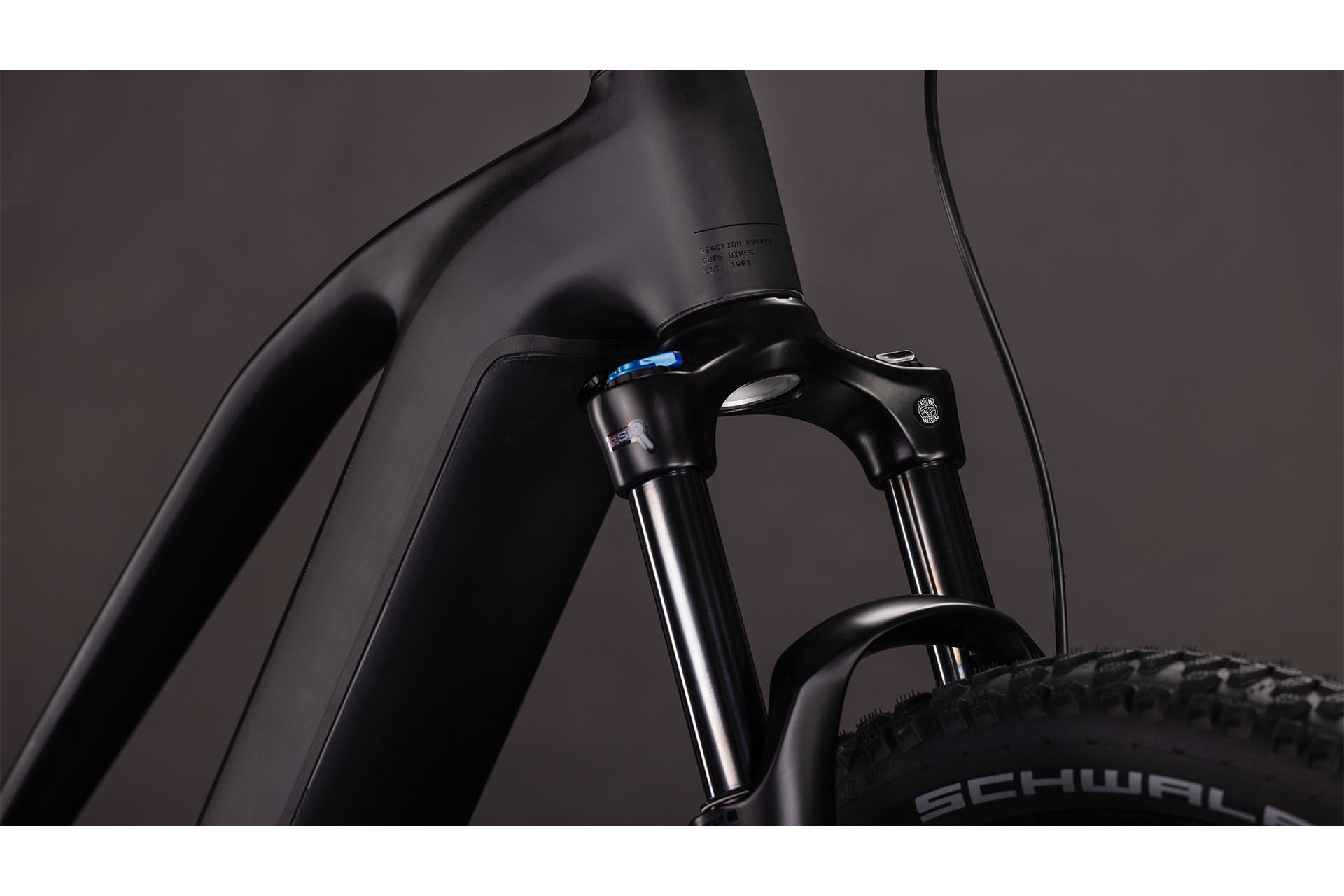 Cube Reaction Hybrid Pro 800 - 800 Wh - 29 Zoll - Damen Sport