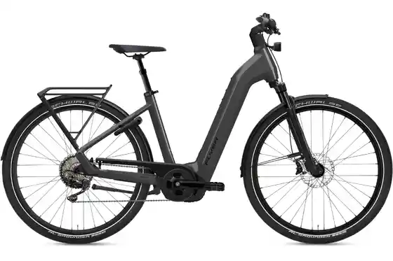 E-Bike Trekking - Flyer G1 Gotour 7.10 - 750 Wh - 28 Zoll - Tiefeinsteiger