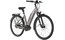 Carver Cityzen E.440 FL - 500 Wh - 28 Zoll - Tiefeinsteiger - 2025