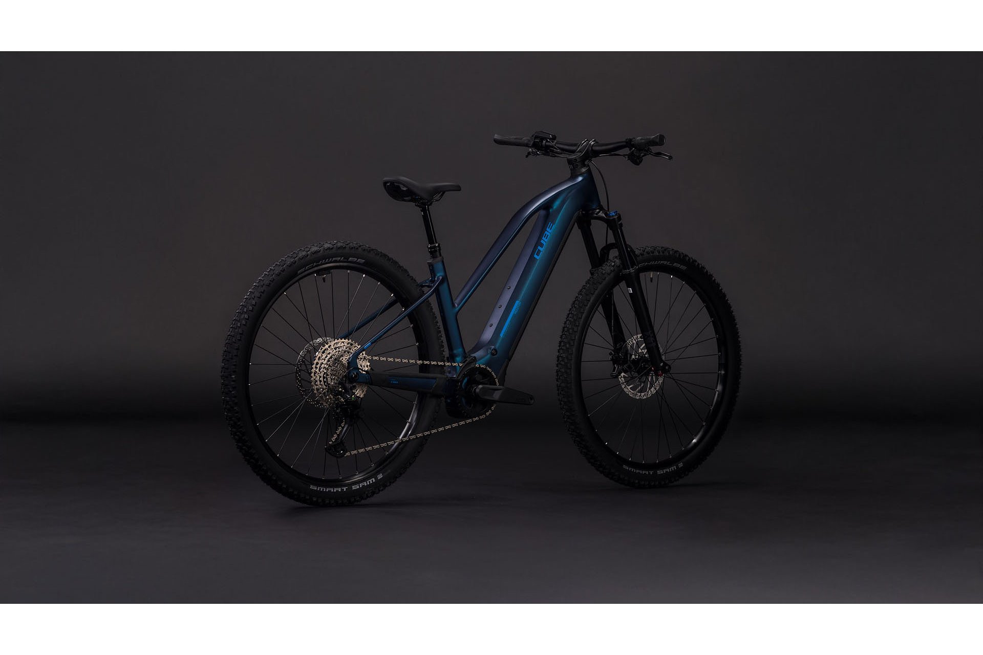 Cube Reaction Hybrid Pro 800 - 800 Wh - 29 Zoll - Damen Sport