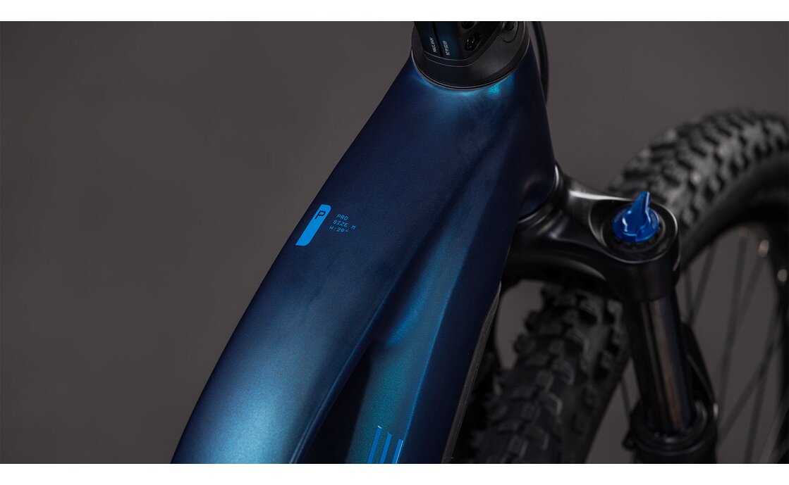 Cube Reaction Hybrid Pro 800 - 800 Wh - 29 Zoll - Damen Sport