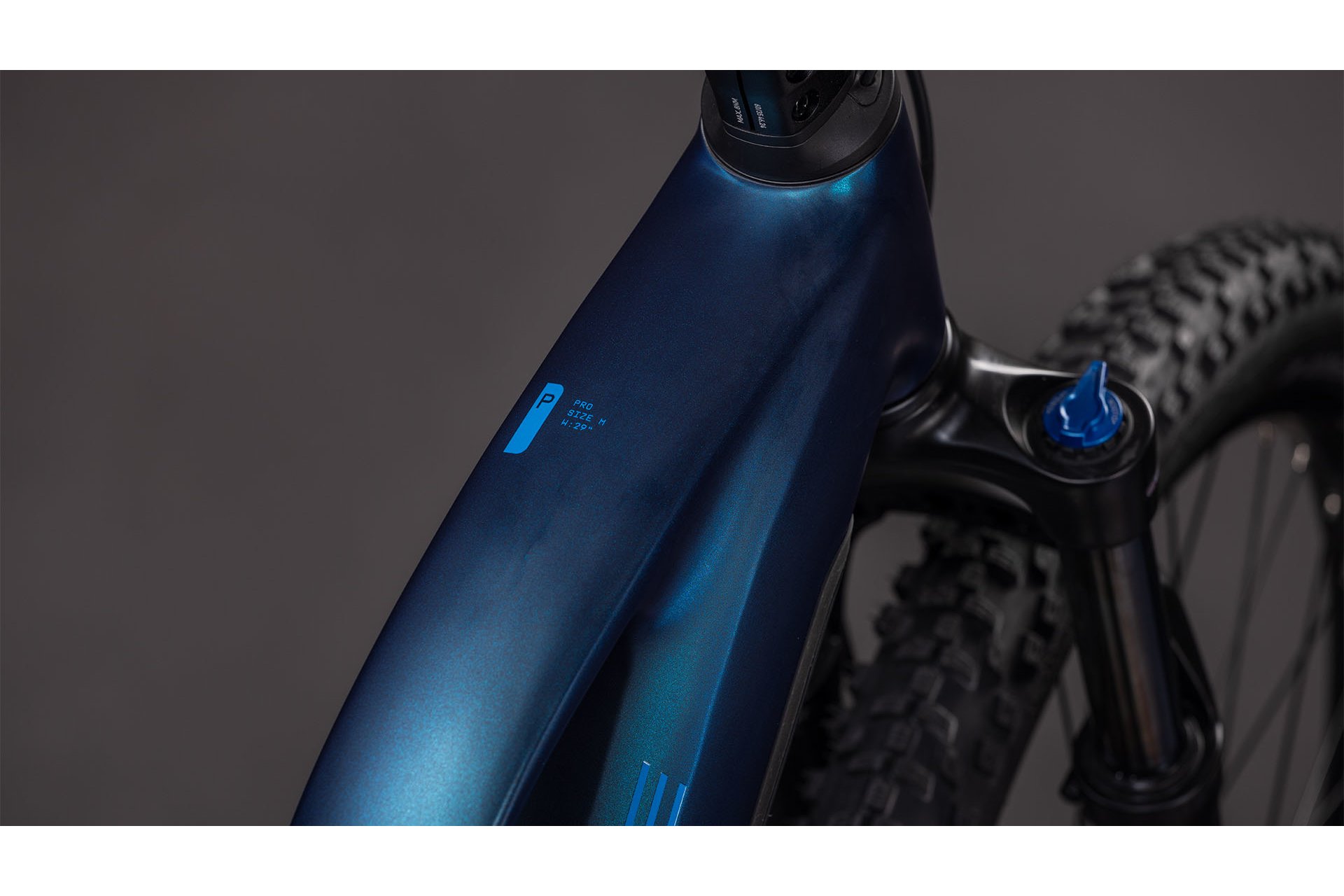 Cube Reaction Hybrid Pro 800 - 800 Wh - 29 Zoll - Damen Sport