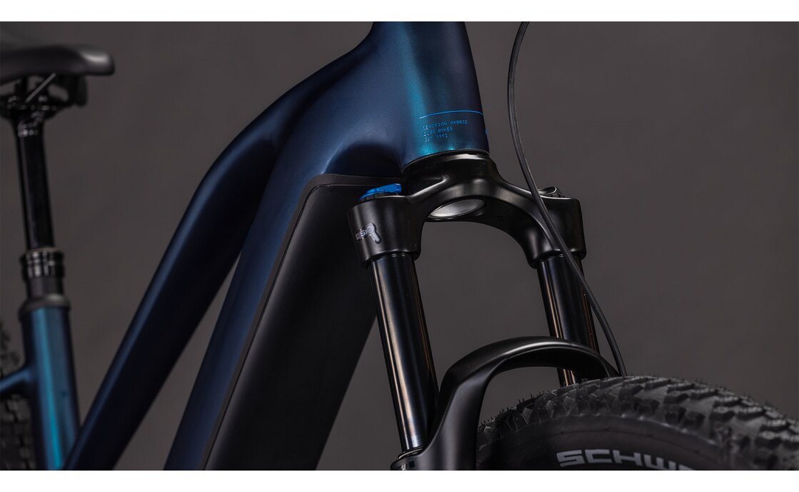 Cube Reaction Hybrid Pro 800 - 800 Wh - 29 Zoll - Damen Sport