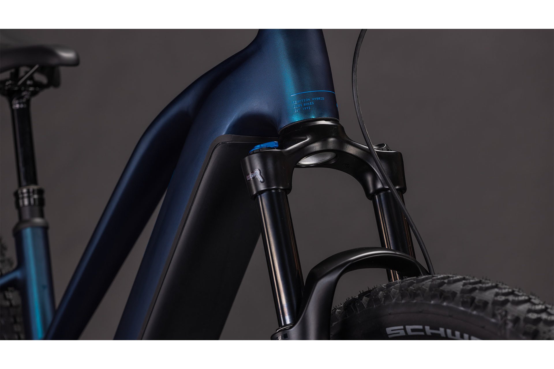 Cube Reaction Hybrid Pro 800 - 800 Wh - 29 Zoll - Damen Sport