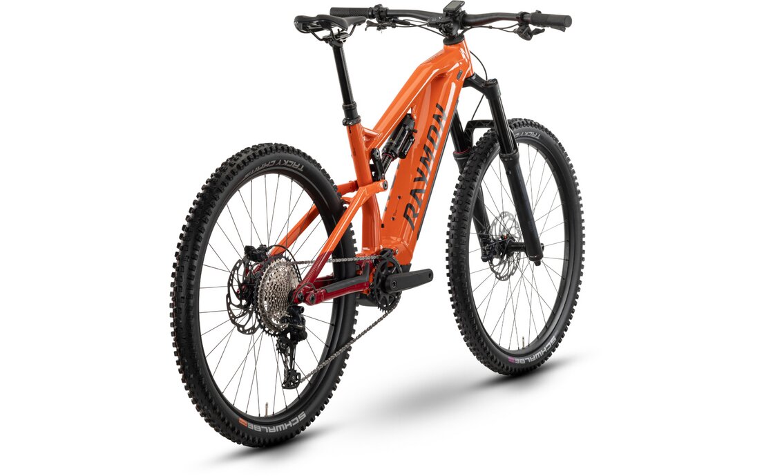 Raymon Trailray 170 Pro - 800 Wh - 29 Zoll - Fully