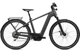 Flyer Gotour 7.10 Gents - 750 Wh - 29 Zoll - Diamant