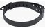 Evoc TPU Strap 40