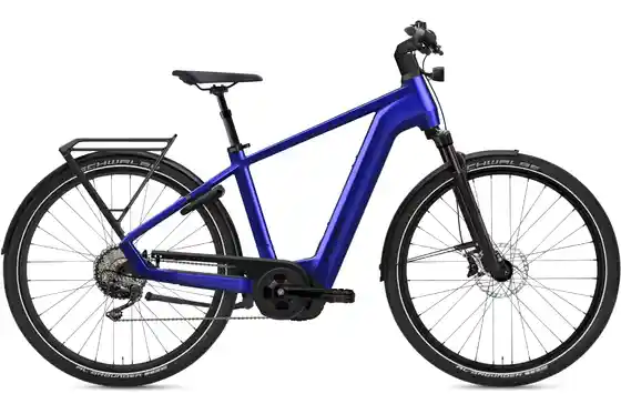 E-Bike Trekking - Flyer Gotour 7.10 Gents - 750 Wh - 29 Zoll - Diamant