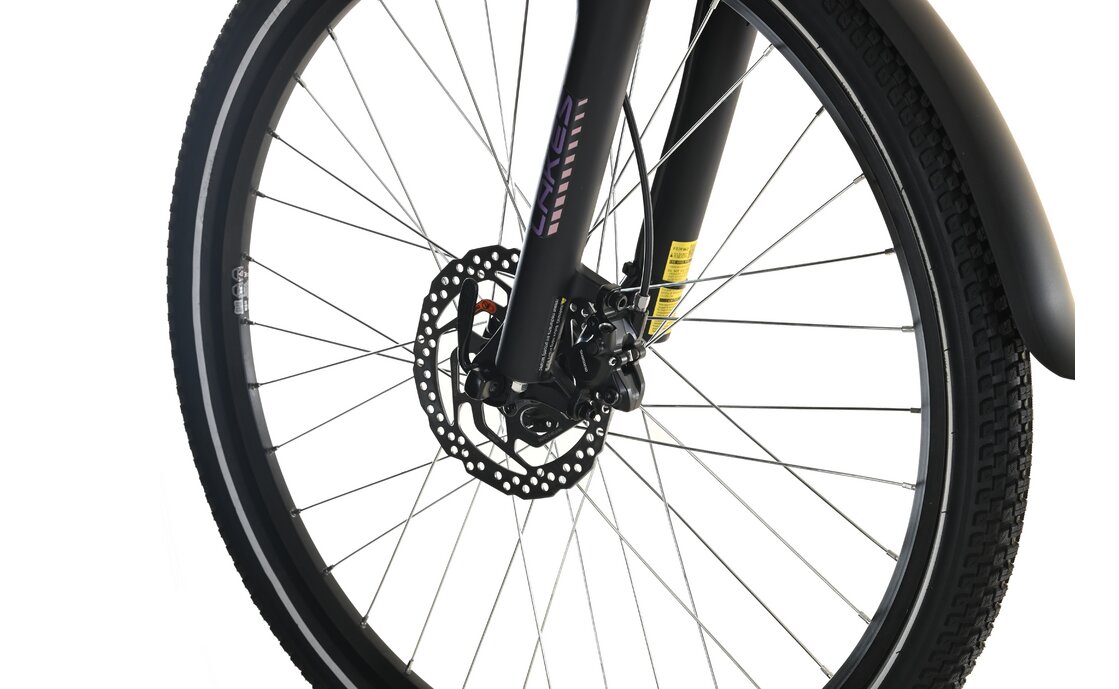 Lakes Free 26 HD Girl - 26 Zoll - Damen Sport - 2024